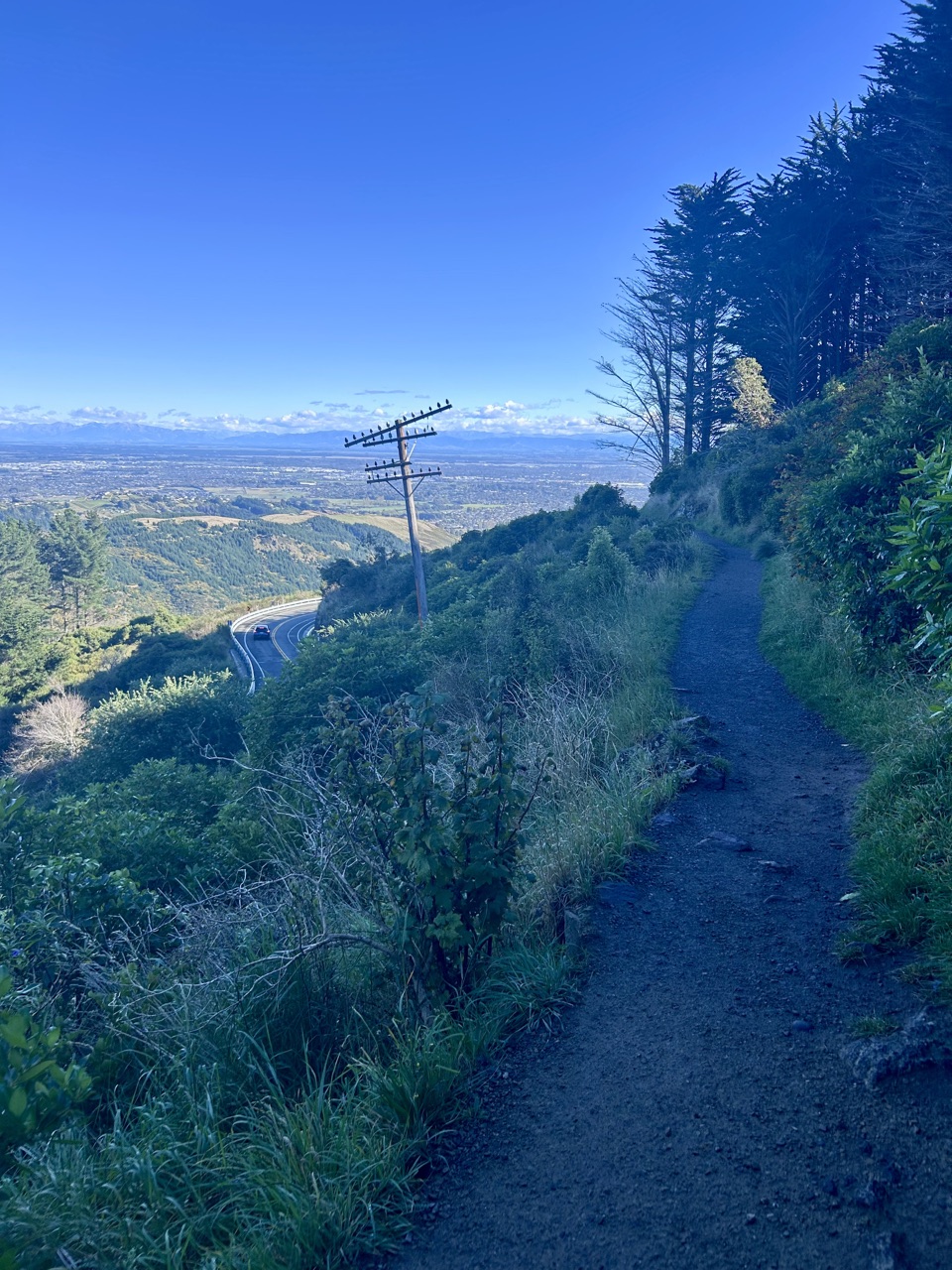 Harry Ell Track — main view