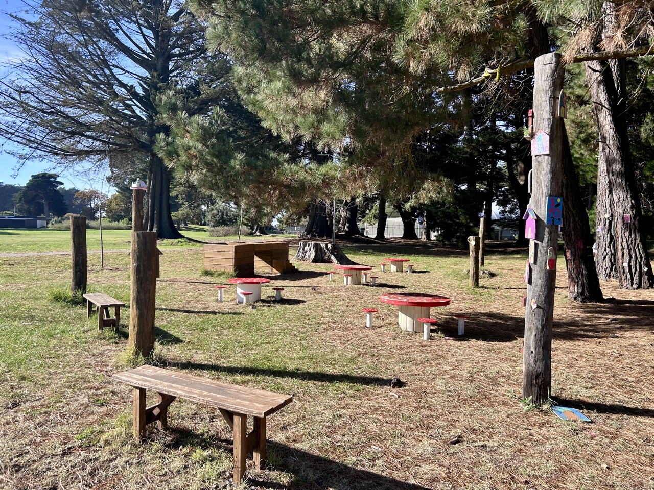 Woodland Playground — main view
