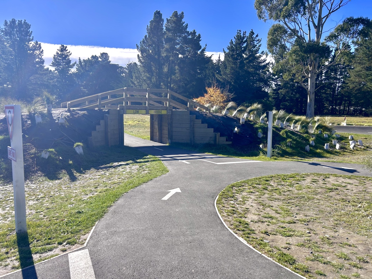 McLeans Forest Pump Track — main view