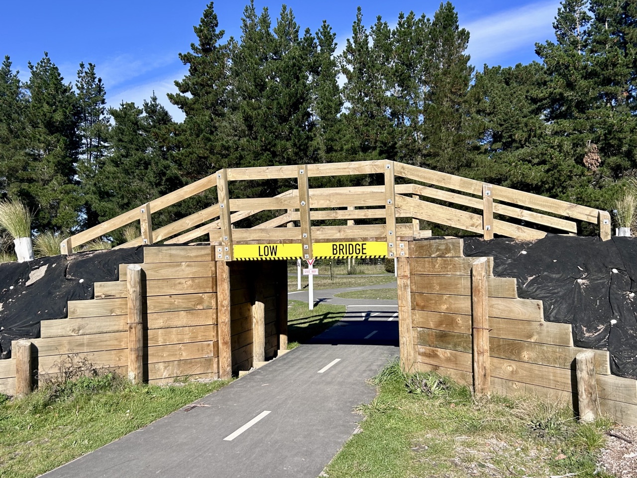 McLeans Forest Pump Track — photo 1