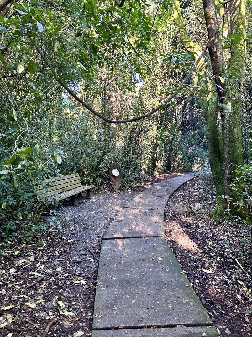 Riccarton Bush — main view