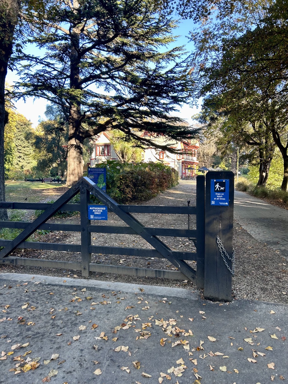 Riccarton Bush — photo 1