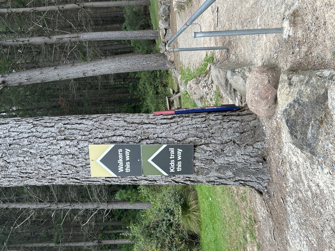 Christchurch Adventure Park – Forest Loop Trail — photo 1