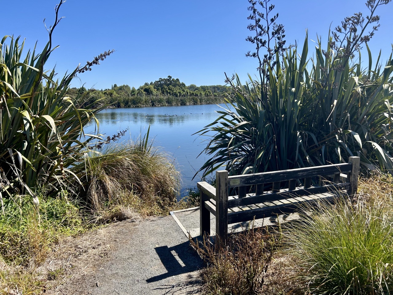 A bench overlooking the pond at Styx Mill Conservation Reserve