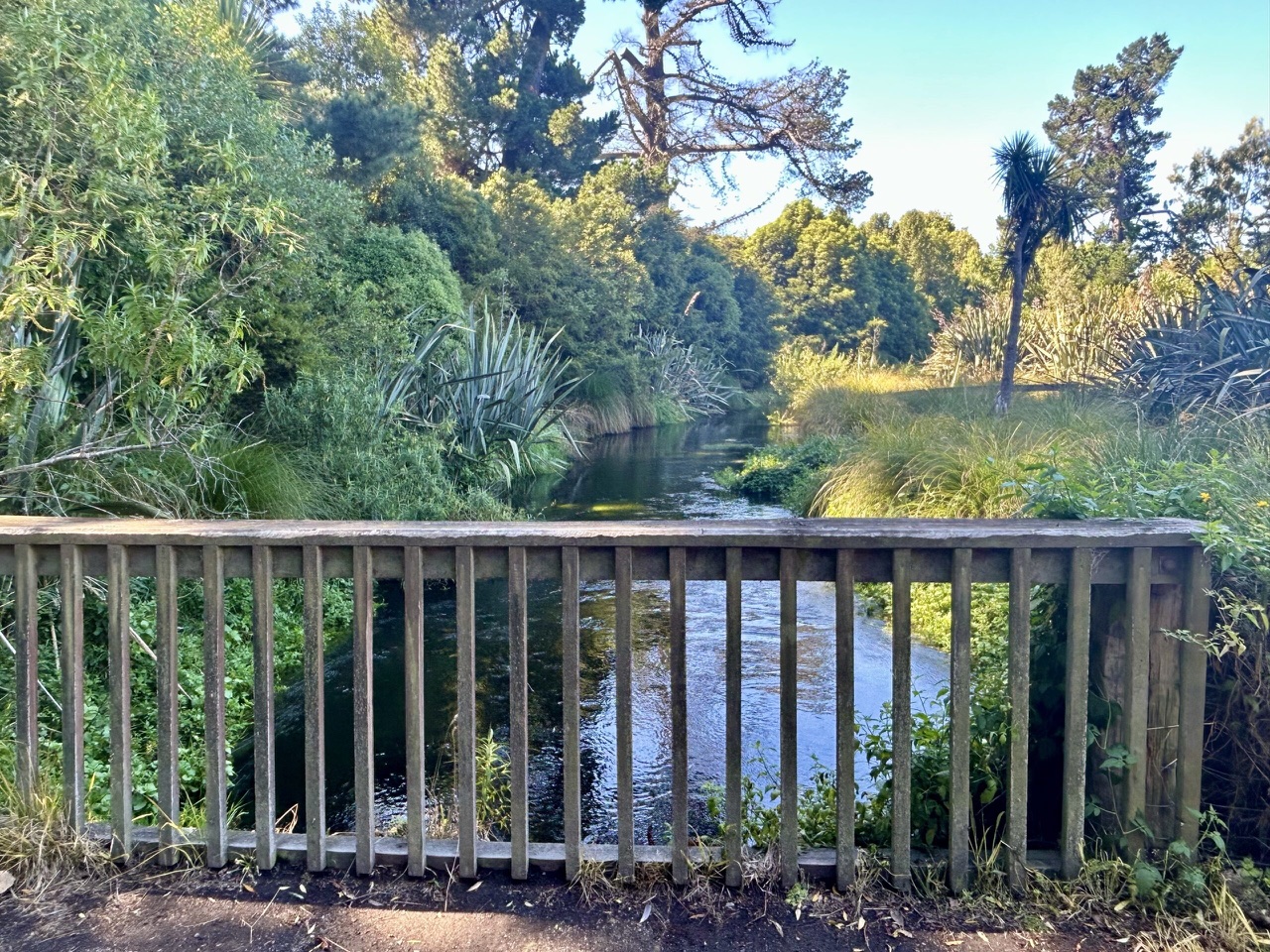 The Styx River viewed from a footbridge